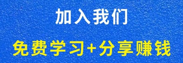 白菜价解锁20000+N个赚钱机会,加入轻创终点站会员,全站资源免费学习。-网赚利基市场