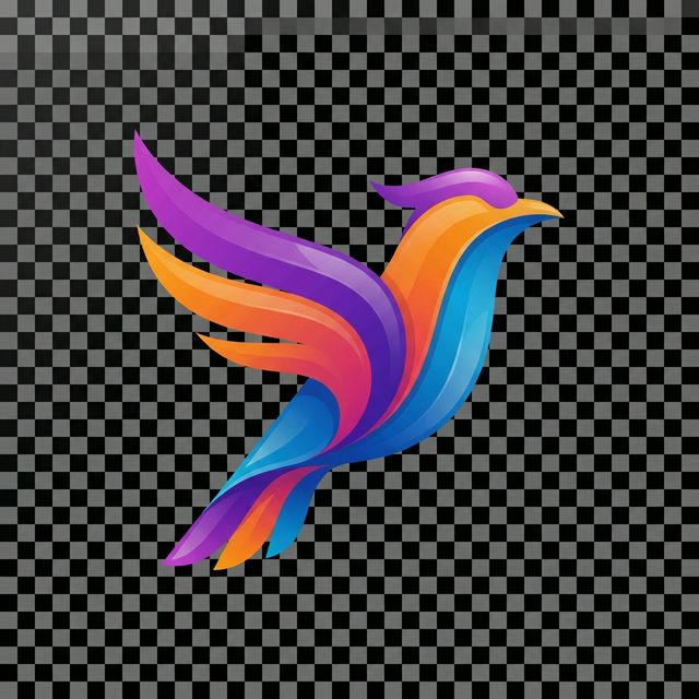 (10384期)小红书电商实战速成课,让你快速掌握红书电商核心技能(28课)-网赚利基市场